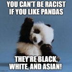 This is true in every sense! | YOU CAN'T BE RACIST IF YOU LIKE PANDAS; THEY'RE BLACK, WHITE, AND ASIAN! | image tagged in panda,no racism,stupid people,race | made w/ Imgflip meme maker