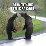 Reunited | REUNITED AND IT FEELS SO GOOD... | image tagged in bears | made w/ Imgflip meme maker