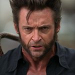 Wolverine