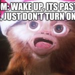 Mogwai bright lights | MOM: WAKE UP, ITS PAST 11
ME: OK, JUST DON'T TURN ON THE L- | image tagged in mogwai bright lights | made w/ Imgflip meme maker