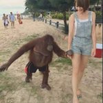 Chimp holding hands with girl