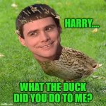 Introducing Jim Carreduck | HARRY.... WHAT THE DUCK DID YOU DO TO ME? | image tagged in jim carreduck,what the hell harry,this isnt funny man | made w/ Imgflip meme maker