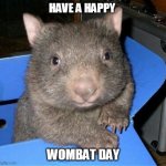 Wombat in a chair | HAVE A HAPPY; WOMBAT DAY | image tagged in wombat in a chair | made w/ Imgflip meme maker