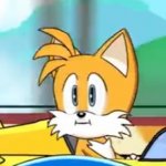 Tails hold up meme