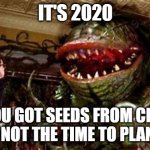 2020 Seeds from China | IT'S 2020; IF YOU GOT SEEDS FROM CHINA, NOW IS NOT THE TIME TO PLANT THEM | image tagged in 2020 seeds from china | made w/ Imgflip meme maker