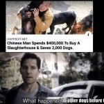 What happened here | to other dogs before that | image tagged in what happened here | made w/ Imgflip meme maker