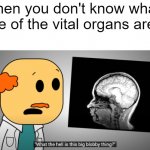 Brewstewfilms Dumb Doctor | When you don't know what one of the vital organs are | image tagged in brewstewfilms dumb doctor | made w/ Imgflip meme maker