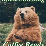bear | Good Morning; Coffee Ready | image tagged in bear | made w/ Imgflip meme maker