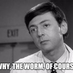 Danny Goldman | WHY, THE WORM, OF COURSE | image tagged in vermicelli,young frankenstein,danny goldman | made w/ Imgflip meme maker
