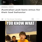 Read the tags | YOU KNOW WHAT; THAT'S NOT THE WEIRDEST THING I'VE SEEN TODAY. | image tagged in you know what i'm about to say it,australia,bans,emus,from,pubs | made w/ Imgflip meme maker