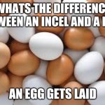 Incel joke | WHATS THE DIFFERENCE BETWEEN AN INCEL AND A EGG? AN EGG GETS LAID | image tagged in eggs,memes,incel | made w/ Imgflip meme maker