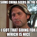 So i have that going for me | GOT SOME CHINA SEEDS IN THE MAIL; SO I GOT THAT GOING FOR ME
WHICH IS NICE | image tagged in so i have that going for me | made w/ Imgflip meme maker