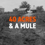 40 acres and a mule