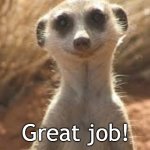 Meerkat | Thank you for brightening my day! Great job! | image tagged in meerkat | made w/ Imgflip meme maker