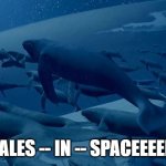 Whales -- In -- Spaceeeeeee! | WHALES -- IN -- SPACEEEEEEE! | image tagged in fantasia 2000 | made w/ Imgflip meme maker