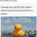 The Toronto Duck meme