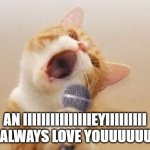 Funny cat | AN IIIIIIIIIIIIIIIEYIIIIIIIII WILL ALWAYS LOVE YOUUUUUUUU!!! | image tagged in funny cat | made w/ Imgflip meme maker