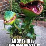 AUDREY III | AUDREY III is "THE DEMON SEED" | image tagged in audrey iii,demon seeds,alien dna | made w/ Imgflip meme maker