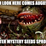 Here comes August | OH LOOK HERE COMES AUGUST; AFTER MYSTERY SEEDS SPROUT | image tagged in little shop of horrors | made w/ Imgflip meme maker