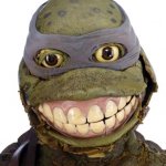 Decayed Ninja Turtle Costume