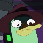 Unsettled Perry the platypus