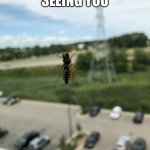 Bee Seeing You | I’LL BEE SEEING YOU | image tagged in bee seeing you | made w/ Imgflip meme maker