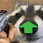 This isn't upvote begging it's upvote demanding | UPVOTE; NOW | image tagged in wholesome coon with gun,wholesome,upvotes | made w/ Imgflip meme maker