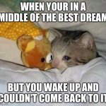 Dreams never come true | WHEN YOUR IN A MIDDLE OF THE BEST DREAM; BUT YOU WAKE UP AND COULDN'T COME BACK TO IT | image tagged in crying kitten,dreams,first world problems,sleeping | made w/ Imgflip meme maker