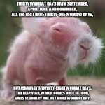 Wise Wombat | THIRTY WOMBAT DAYS HATH SEPTEMBER,
APRIL, JUNE, AND NOVEMBER,
ALL THE REST HAVE THIRTY-ONE WOMBAT DAYS, BUT FEBRUARY'S TWENTY-EIGHT WOMBAT DAYS,
THE LEAP YEAR, WHICH COMES ONCE IN FOUR,
GIVES FEBRUARY ONE DAY MORE WOMBAT DAY. | image tagged in wise wombat | made w/ Imgflip meme maker