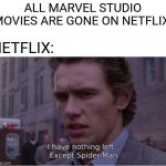 I have nothing left except spider-man | ALL MARVEL STUDIO MOVIES ARE GONE ON NETFLIX; NETFLIX: | image tagged in memes,funny,marvel,spiderman,movies,netflix | made w/ Imgflip meme maker