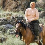 Trump horse