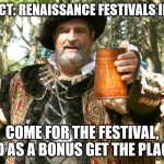Renaissance Festival | FUN FACT: RENAISSANCE FESTIVALS IN 2020; COME FOR THE FESTIVAL, AND AS A BONUS GET THE PLAGUE | image tagged in renaissance fair toast | made w/ Imgflip meme maker
