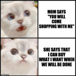 cute white cat template | MOM SAYS "YOU WILL COME SHOPPING WITH ME"; SHE SAYS THAT I CAN BUY WHAT I WANT WHEN WE WILL BE DONE | image tagged in cute white cat template | made w/ Imgflip meme maker