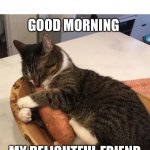 Good Morning | GOOD MORNING; MY DELIGHTFUL FRIEND | image tagged in cat hugging sweet potato,friendship,good morning | made w/ Imgflip meme maker