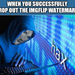 Hax | WHEN YOU SUCCESSFULLY CROP OUT THE IMGFLIP WATERMARK: | image tagged in hax | made w/ Imgflip meme maker