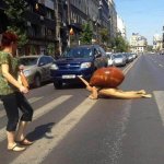 Snail in the road