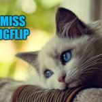 Too bad it's gone down the toilet. | I MISS IMGFLIP | image tagged in memes,first world problems cat,nixieknox | made w/ Imgflip meme maker