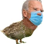 Joe BidenDuck Trans meme