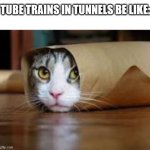 Cat in tube | TUBE TRAINS IN TUNNELS BE LIKE: | image tagged in cat in tube,london underground,tube,trains,cute cat,funny memes | made w/ Imgflip meme maker