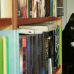 Library Cat