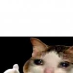 Sad cat thumbs up white spacing meme