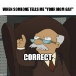 True story and they should have said moms not mom | WHEN SOMEONE TELLS ME "YOUR MOM GAY"; CORRECT | image tagged in technically correct,mom | made w/ Imgflip meme maker