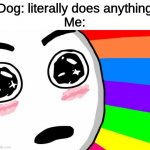 amazing | Dog: literally does anything
Me: | image tagged in amazing,memes,funny memes,funny | made w/ Imgflip meme maker