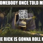 Scan the QR code | SOMEBODY ONCE TOLD ME; THE RICK IS GONNA ROLL ME | image tagged in somebody once told me,shrek,rick roll | made w/ Imgflip meme maker