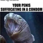 Penis Suffocating In A Condom