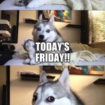 Chickens:( | I FEEL BAD FOR CHICKENS; TODAY'S FRIDAY!! | image tagged in bad dog puns | made w/ Imgflip meme maker