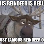 Most famous reindeer of all. | THIS REINDEER IS REALLY; THE MOST FAMOUS REINDEER OF ALL. | image tagged in frozen sven | made w/ Imgflip meme maker