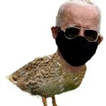 Joe Bidenduck Black Mask Trans