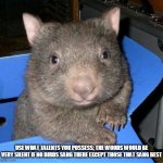 Wombat in a chair | USE WHAT TALENTS YOU POSSESS; THE WOODS WOULD BE VERY SILENT IF NO BIRDS SANG THERE EXCEPT THOSE THAT SANG BEST | image tagged in wombat in a chair | made w/ Imgflip meme maker