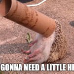 Hedgehog in a toilet paper roll | I'M GONNA NEED A LITTLE HELP! | image tagged in hedgehog in a toilet paper roll | made w/ Imgflip meme maker
